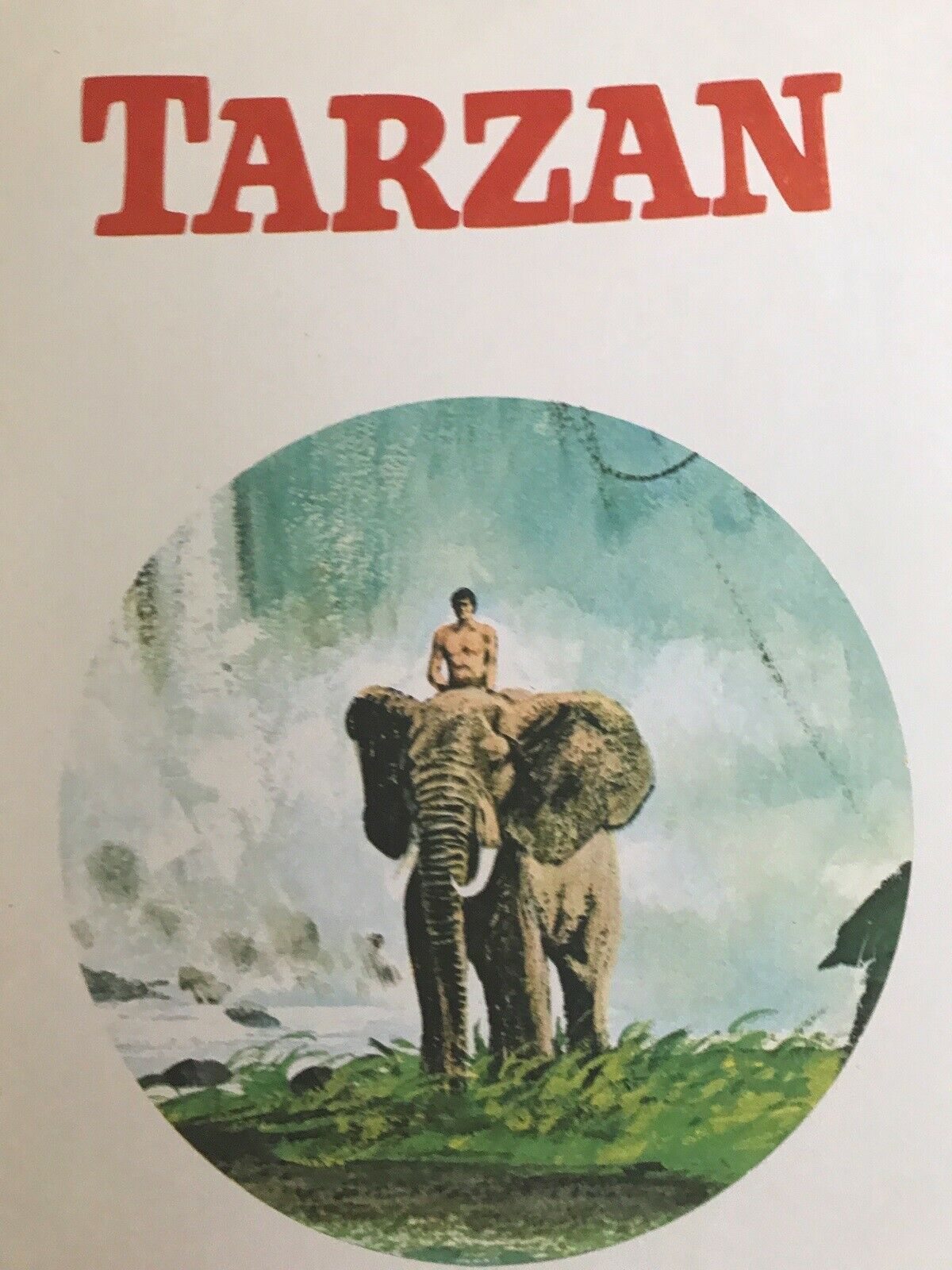 Tarzan børneudgaven , Tegneserie