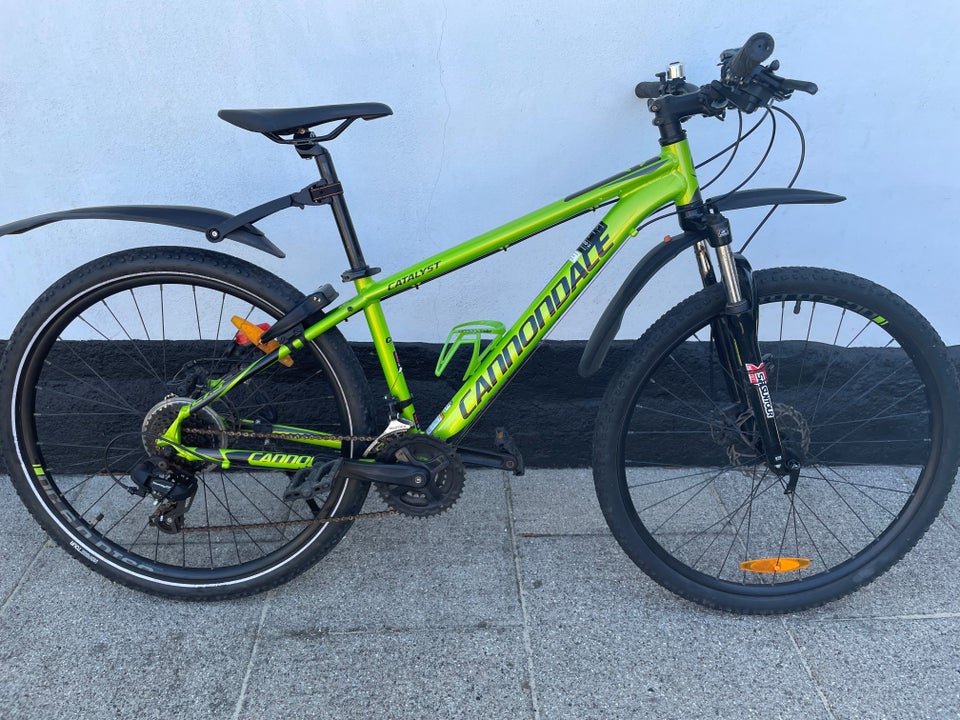 Cannondale 2025 catalyst 29