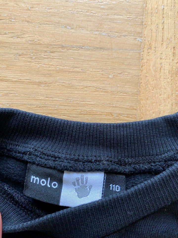 Sweatshirt, Trøje, Molo