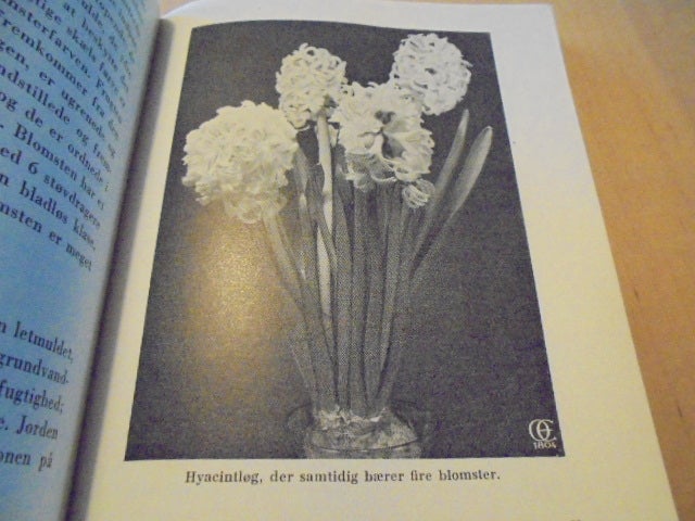 Blomsterløg og blomsterknolde i haven – 1953, Tønnes Bacher