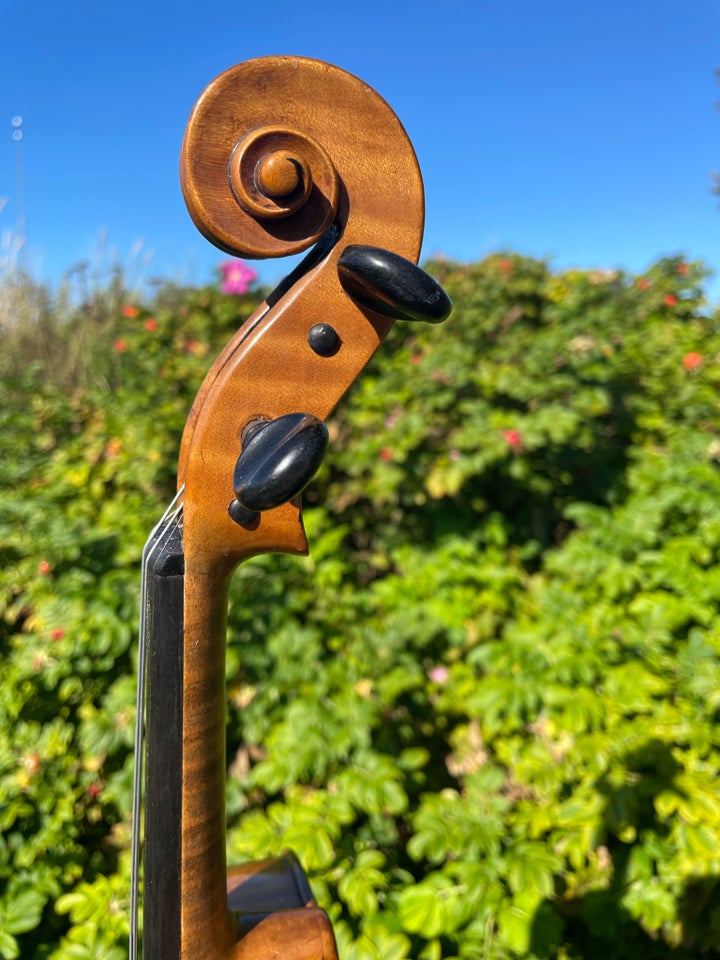 Gammel violin , Antonius Stradivarius Cremonensis