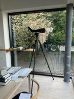 Teleskop, DOF Birdlife , Golden Eagle