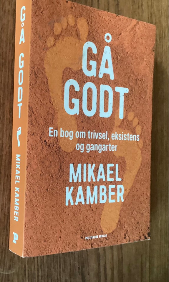 Gå godt, Mikael Kamber, anden bog