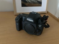 Canon, 5D mark III, 24 megapixels