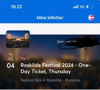 Roskilde festival , Festival