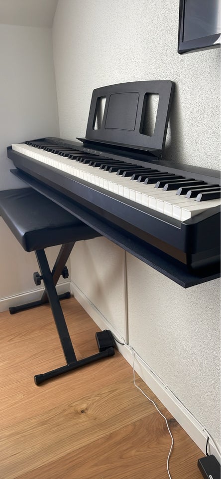 Keyboard, Roland FP-10