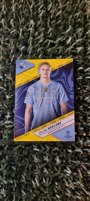 Samlekort, Fodboldkort, Erling Haaland
Man City
Yellow Parallel
Topps Superstars 23/24

Prøv mine an