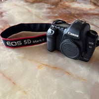 Canon, EOS 5D MK II, 21 megapixels