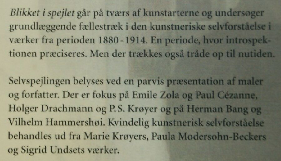 BLIKKET I SPEJLET, Eva Pohl, emne: litteraturhistorie