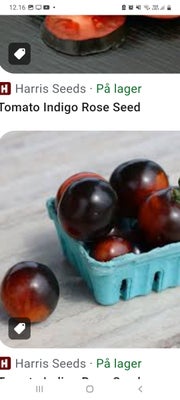 Frø, Tomat, Nr 33) Indigo Rose.
Tip:  mere sol direkte på tomaterne des mere pigment/ sort farve får