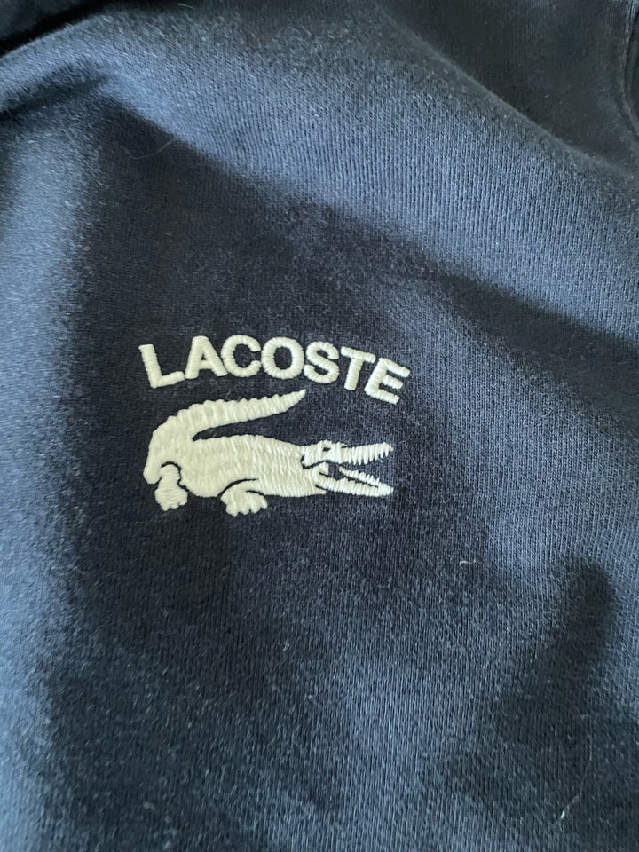 Andet, Lacoste, str. 16 år