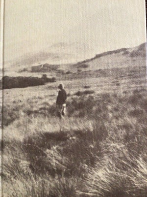Den afrikanske farm, Karen Blixen, genre: roman, Forlag : Gyldendals Bogklub, 1980
Fin stand,
Hardba
