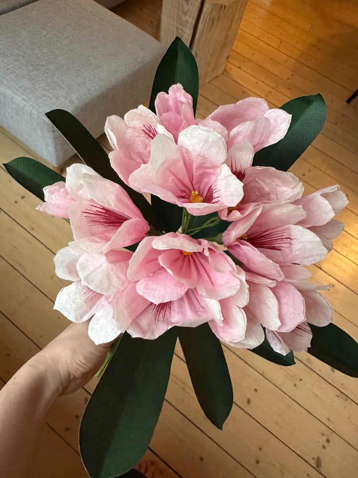 Rhododendron papirblomst The