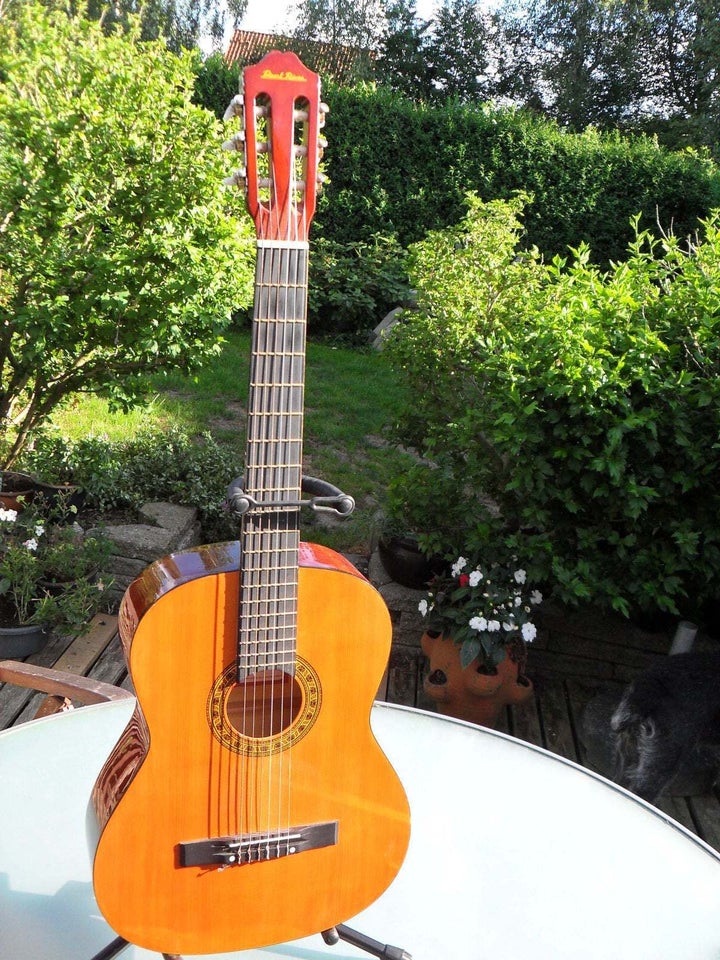 Pearl river deals classical guitar