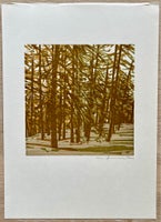 Træsnit, Martin Thönen, motiv: Skov