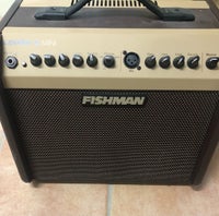 Guitarcombo, Fishman Mini, 60 W