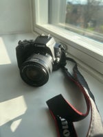 Canon, EOS 250D