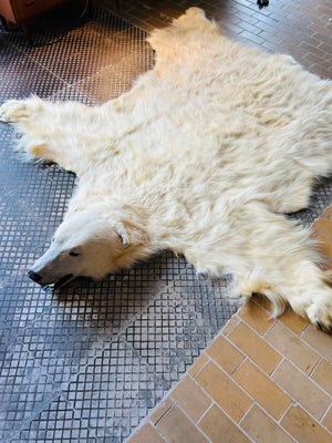 Isbjørneskind stort og flot.