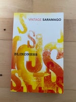 Blindness, José Saramago, genre: roman