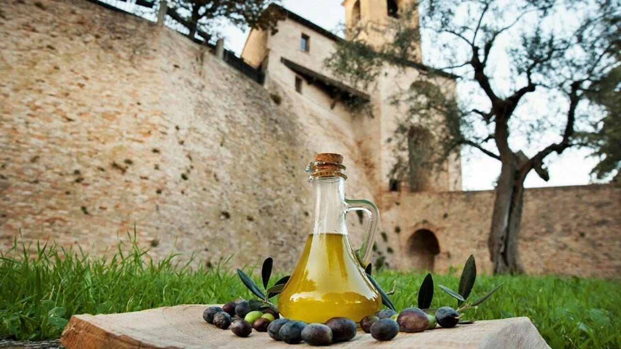 Italiensk olivenoil italian olive