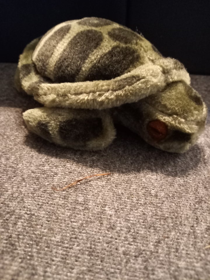 Skildpadde