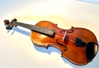 Violin 1/1