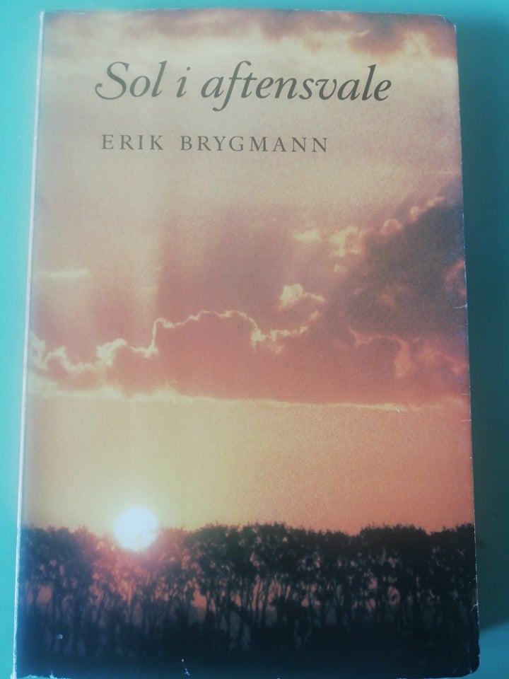 Sol i aftensvale, Erik Brygmann, emne: historie og samfund