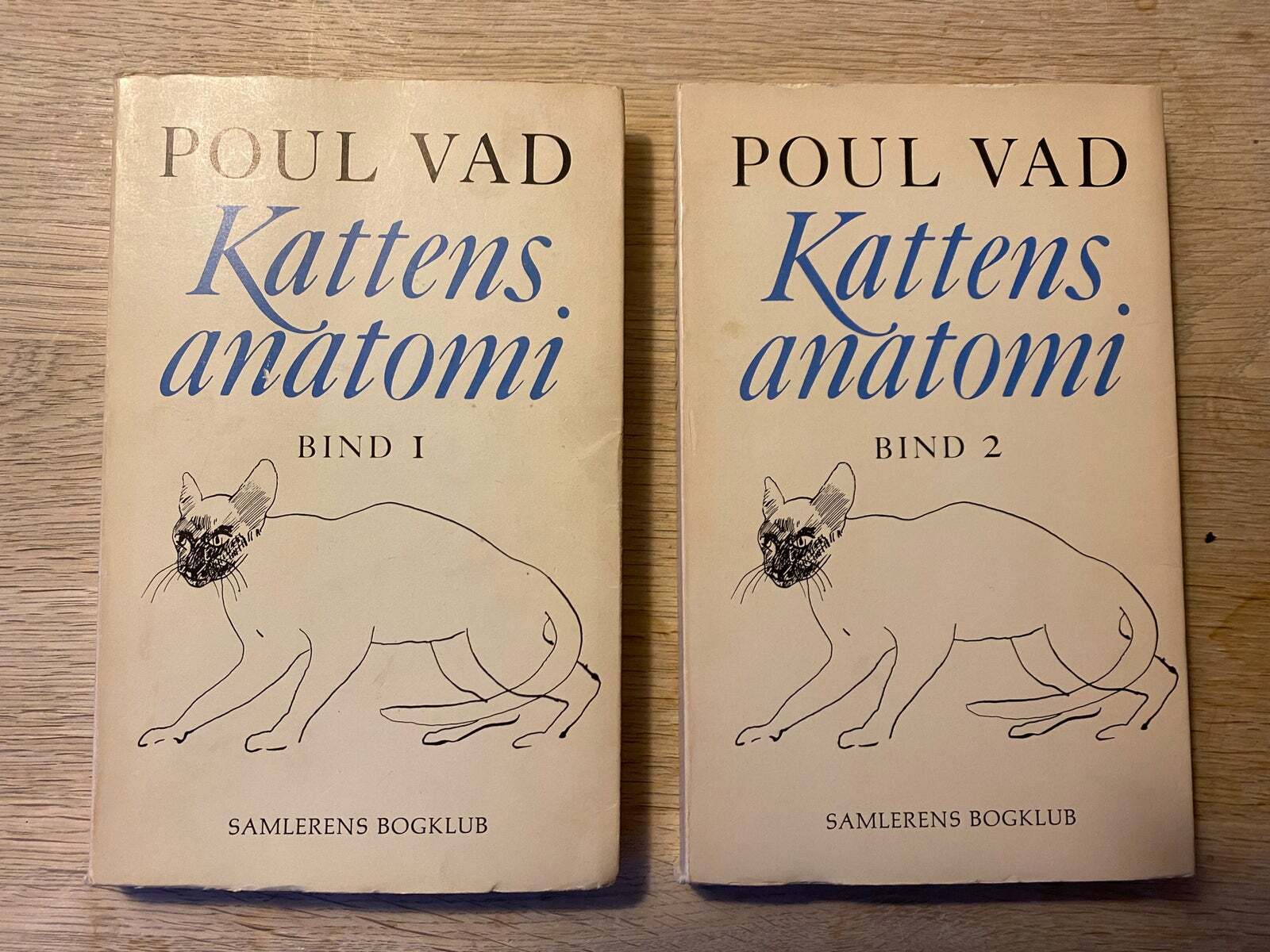 Kattens anatomi, Vad, genre: roman – – Køb og Salg af og Brugt