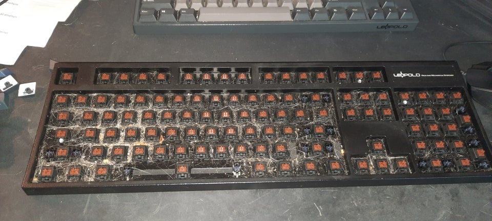 Tastatur, Leopold, FC900R PD