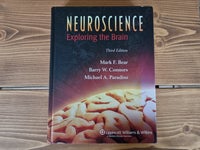 Neuroscience Exploring the Brain, Bear, Connors &