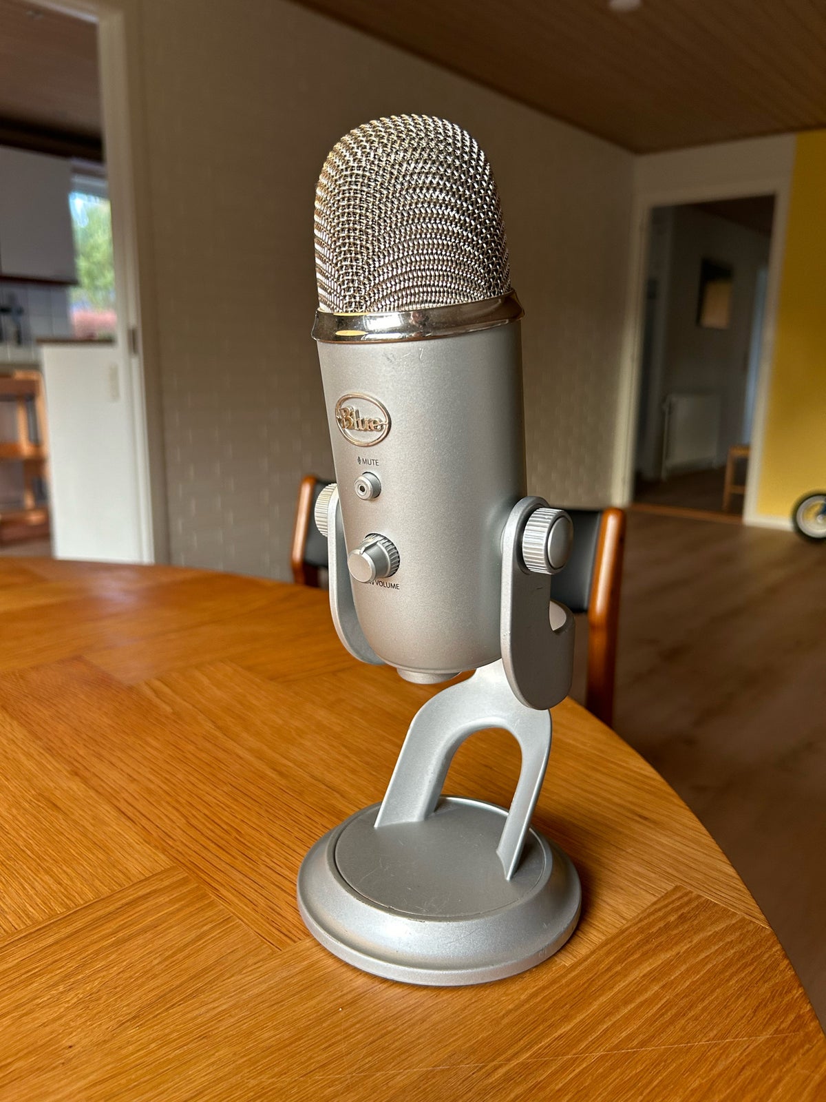 Mikrofon, Blue Yeti USB mikrofon