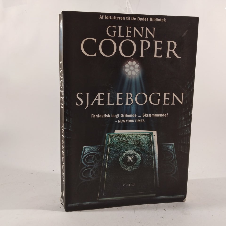 Sjælebogen, Glenn Cooper, genre: roman