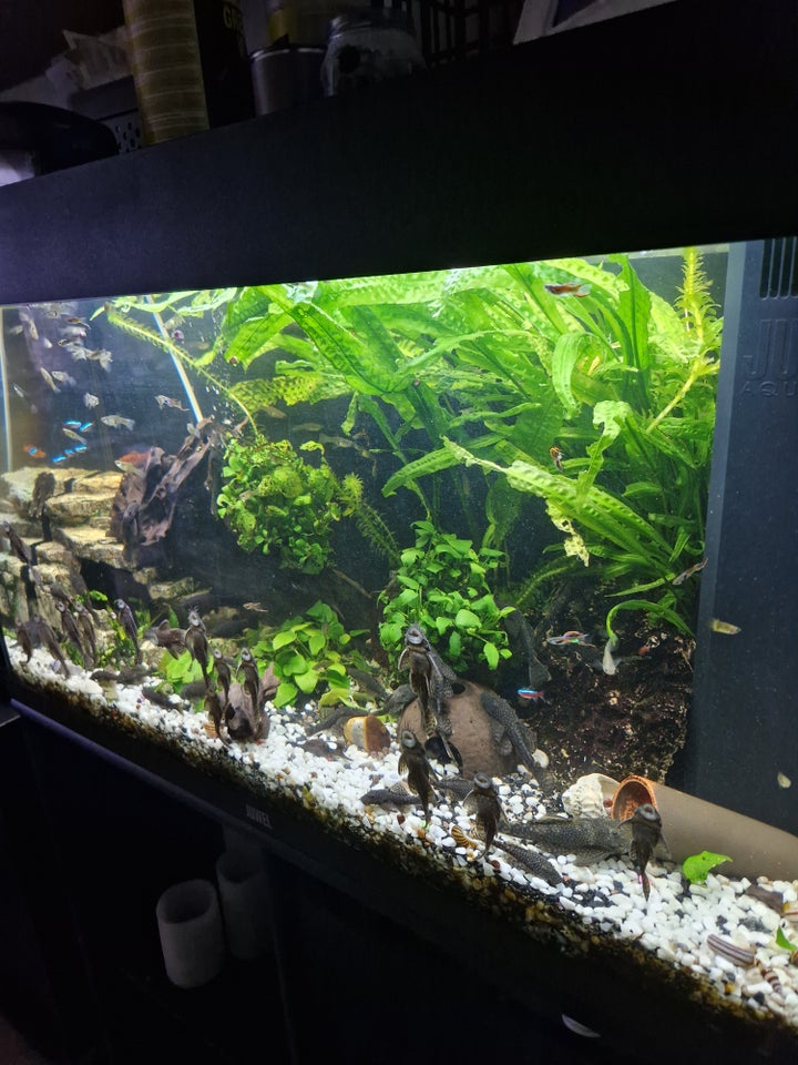 Akvarium, 125 liter