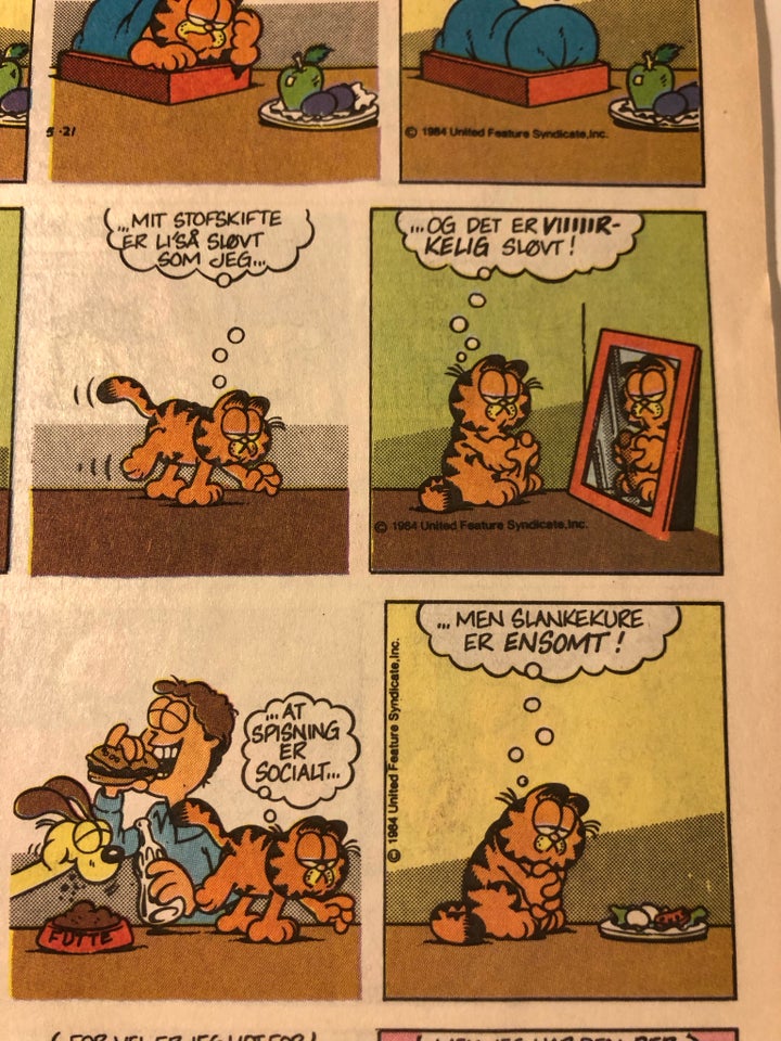 Garfield , Tegneserie