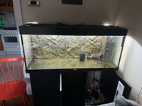 Akvarium, 240 liter