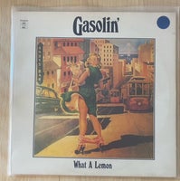 LP, Kim Larsen / Gasolin, Diverse Lp'er