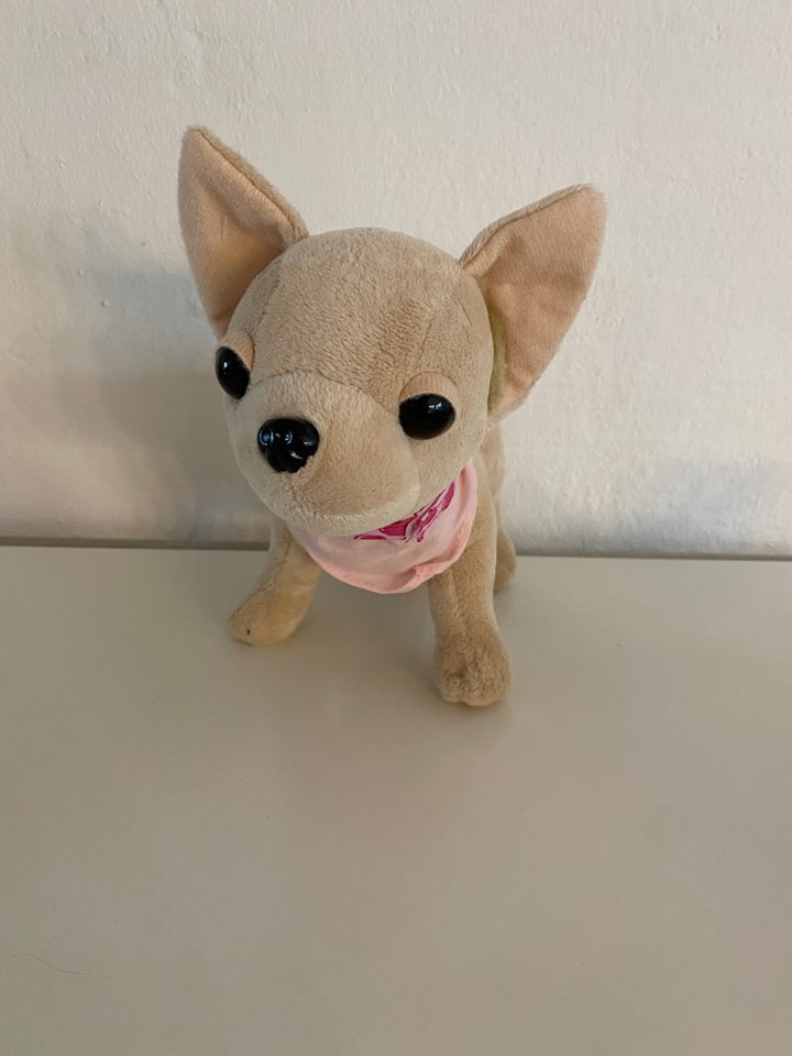 Chihuahua bamse, Chi chi love