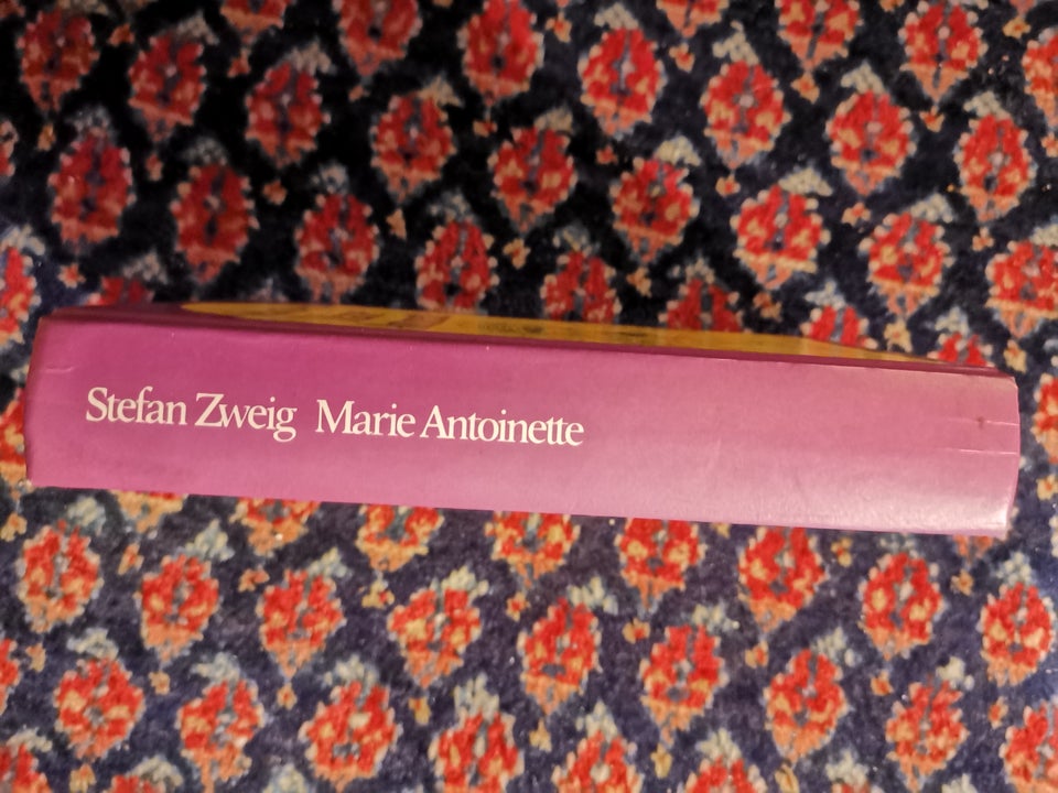 MARIE ANTOINETTE - Et gennemsnitsmenneskes portræt,