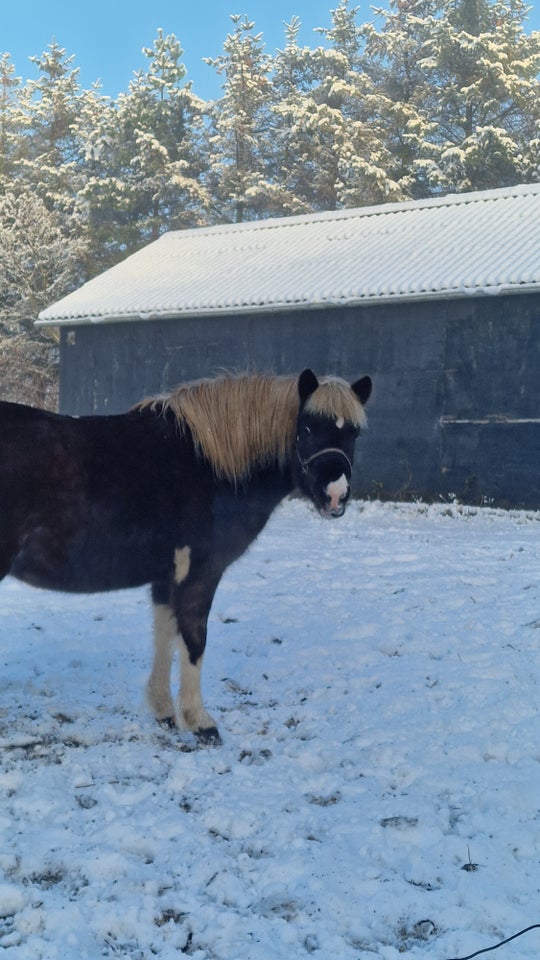Andet