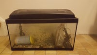 Akvarium, 57 liter
