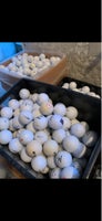 Golfbolde, 100 golfbolde
