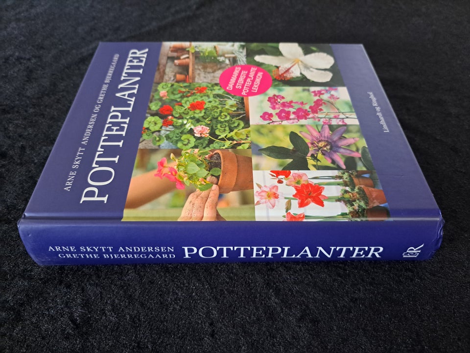 Potteplanter, Arne Skytt Andersen og Grethe Bjerregaard,