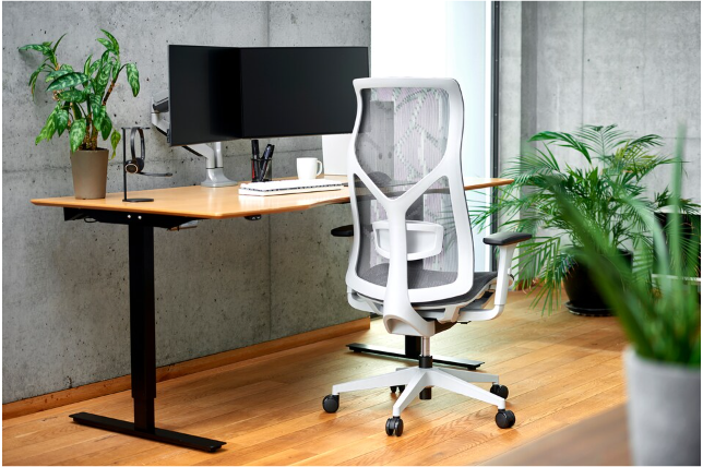 Office- and Gaming Chair: Zen Home 950 kontor- og