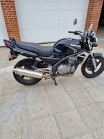 Kawasaki, ER5, 500 ccm