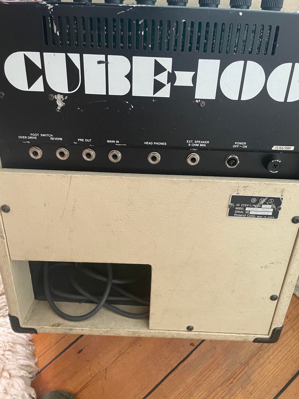 Guitarcombo, Roland Cube-100