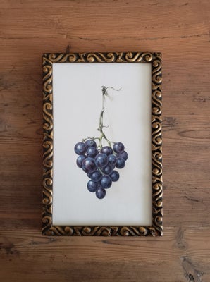 Tryk, En klase blå druer, motiv: Vintage Akvarel, b: 19 h: 30,5, Skønt billede i alt sin enkelthed, 