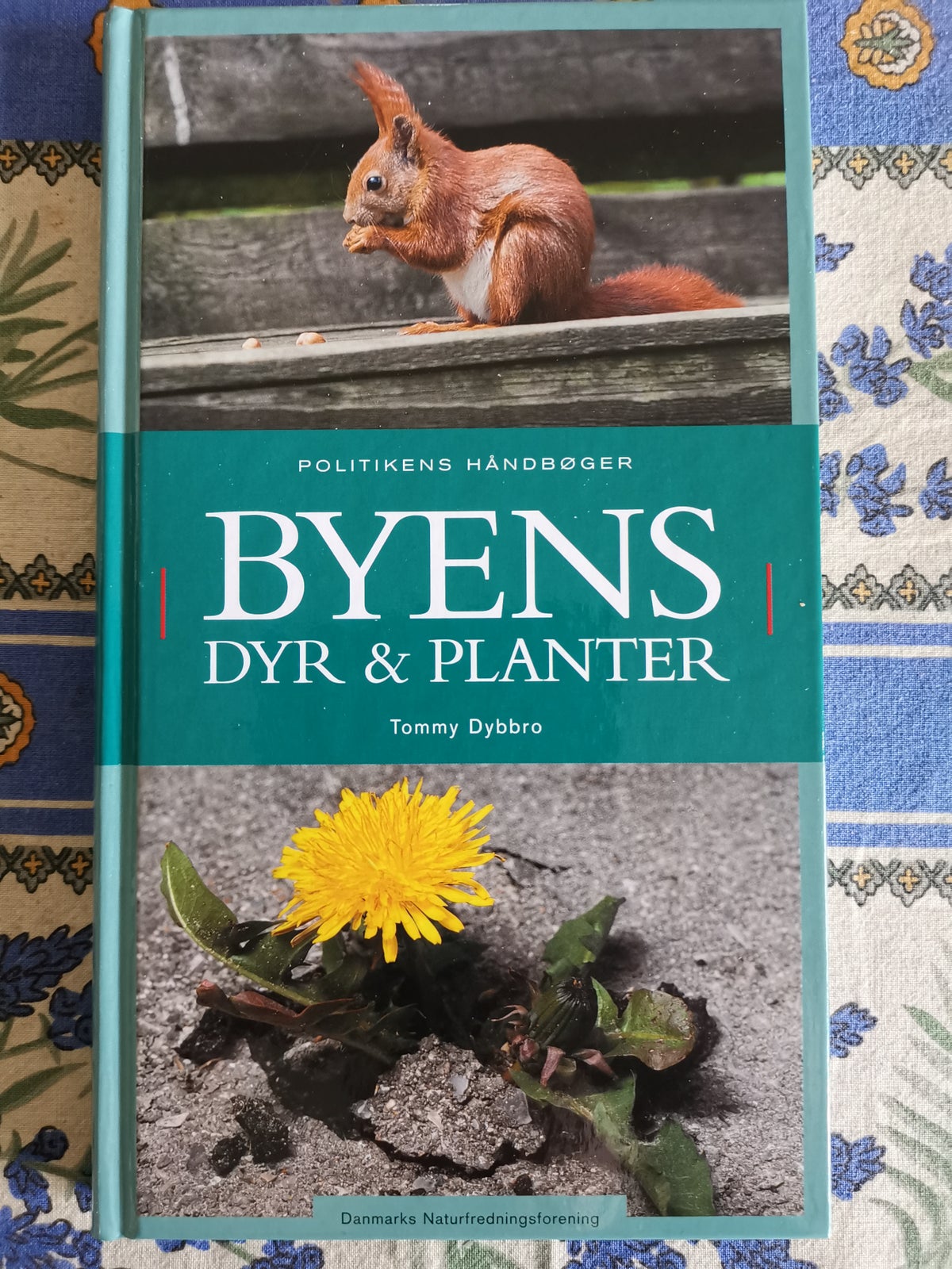 BYENS DYR & PLANTER, Tommy Dybbro, emne: dyr – dba.dk – Køb og Salg af Nyt Brugt