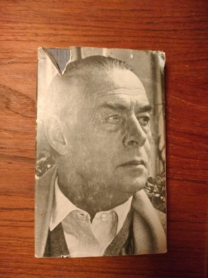 Livet til låns, Erich Maria Remarque, genre: roman