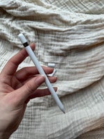 Apple Pencil (1. Gen.)