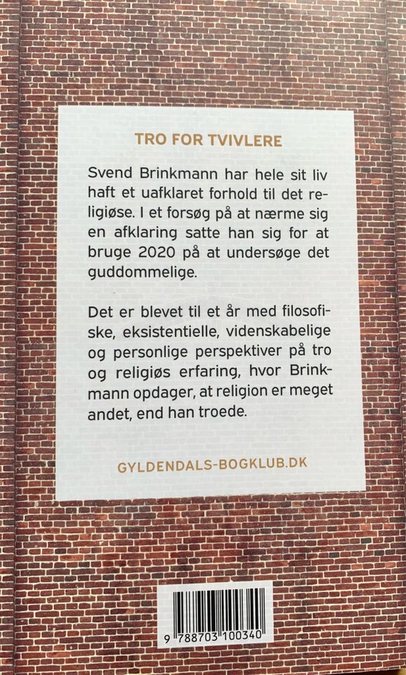 Mit år med Gud, Svend Brinkmann, emne: religion